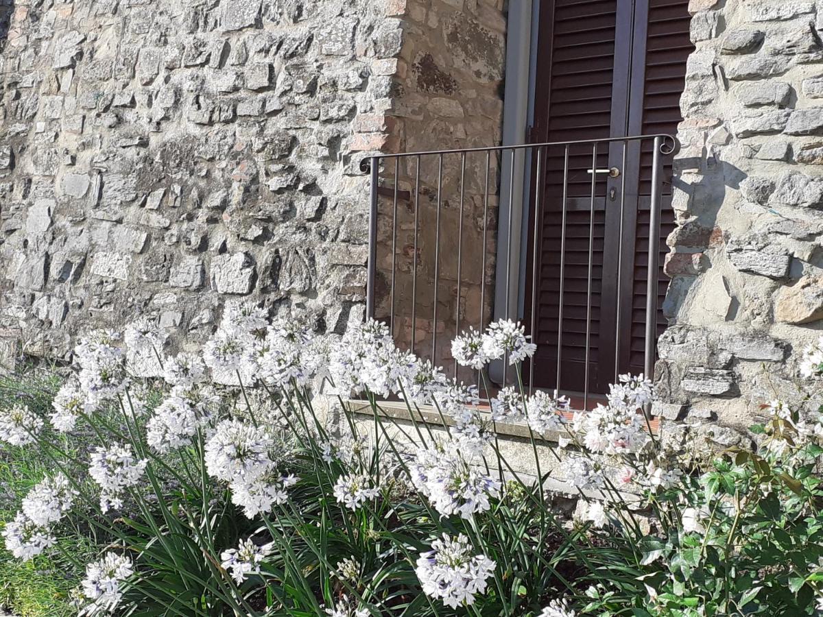 Hotel Le Macine Montaione Zewnętrze zdjęcie
